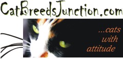 Cat Breeds Junction